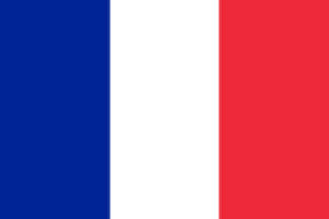 Economy Flag of France 12 x 18" ..OM -  DiversityStore.Com®