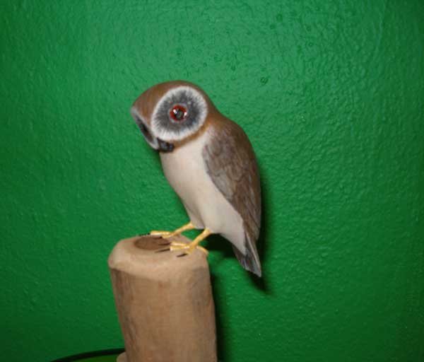 Mucaro (Puerto Rican Screech-Owl) - DiversityStore.Com®