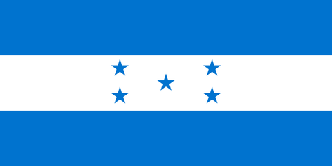 Honduran Flag Honduras Flag Keychain Dog Tag Stainless Steel or 18k Gold 