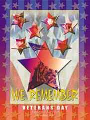 Veterans Day Freedom is Not Free Poster