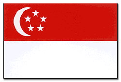 Singapore Flags -  DiversityStore.Com®