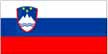 Slovenia Flag ..OM -  DiversityStore.Com®